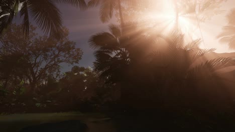 Sunset-Beams-through-Palm-Trees
